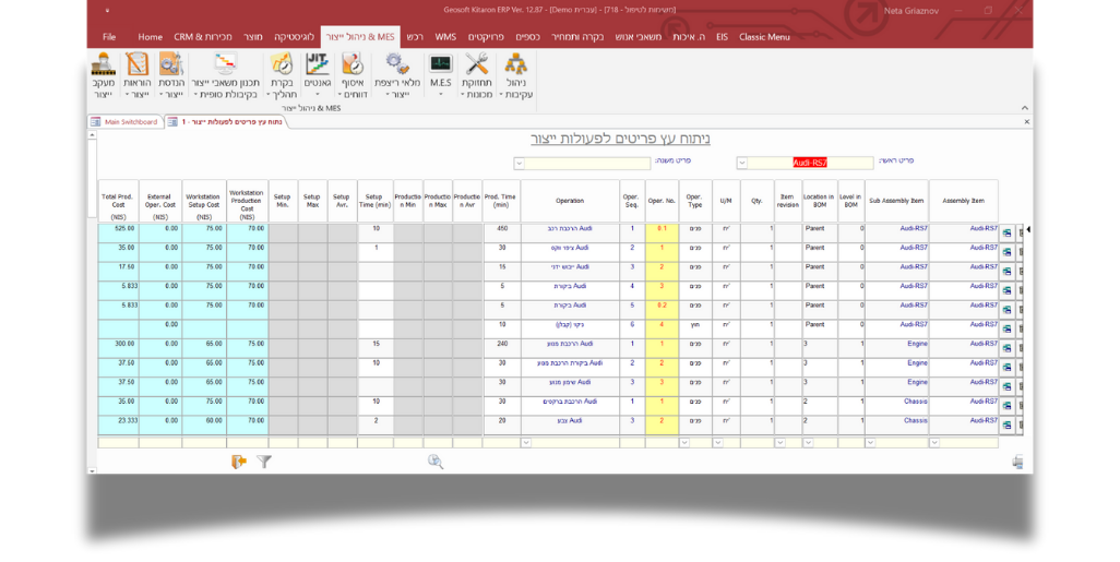 קיטרון ERP & MES ניתוח עץ פריטים לפעולות ייצור