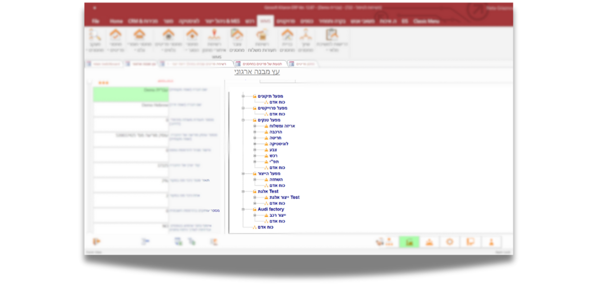 עץ מבנה ארגוני במערכת קיטרון